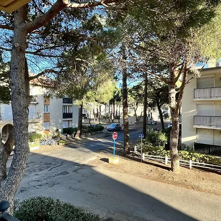 Appartement 2 Pieces 4 Couchages Sur Ar500-c37 *